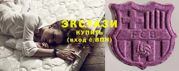 ECSTASY Богданович